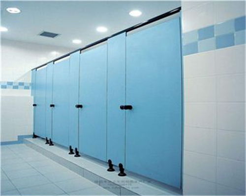 資陽復(fù)合板衛(wèi)生間隔斷工程